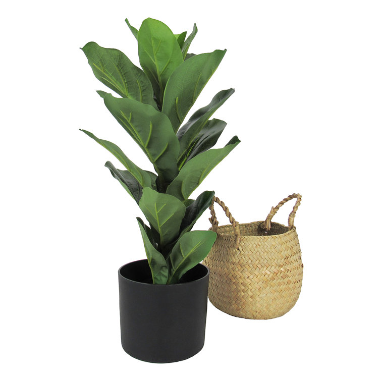 Primrue 20" Artificial Fiddle Leaf Fig Tree in Basket Wayfair